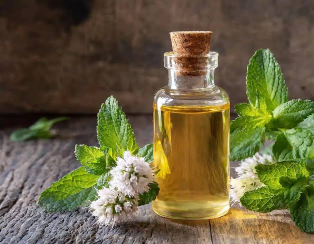 Peppermint Essential Oil, Purity : 100%