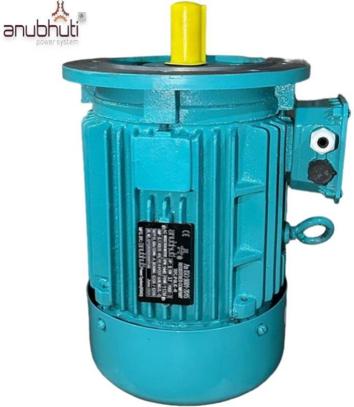 Three Phase Electrical Motors