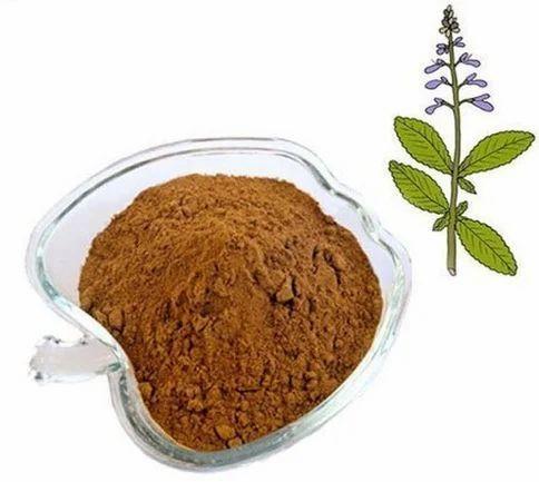 Coleus Extract Powder