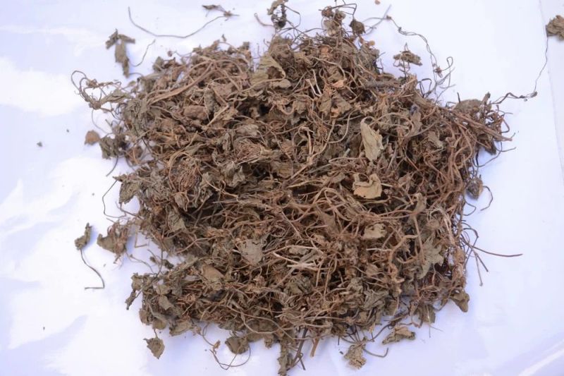 Dried Brahmi Leaves for Industrial