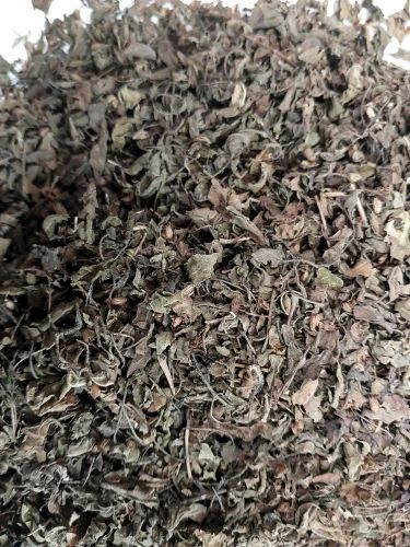 Dried Tulsi Leaves, Packaging Size : 25 kg