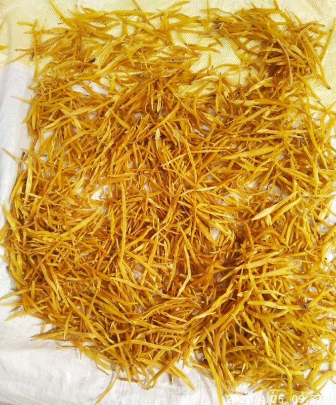 Shatavari yellow roots for Medicines