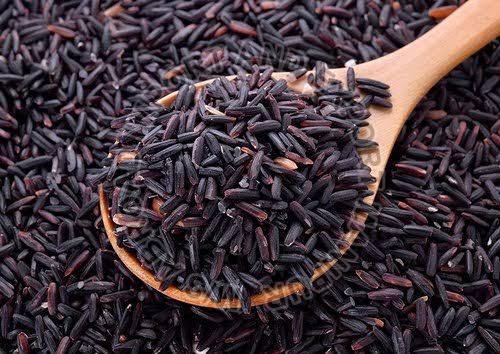 Hard Natural Black Rice for Human Consumption