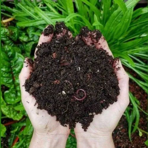 Organic Powder Vermicompost Fertilizer for Agriculture