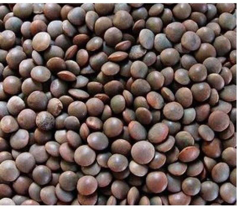 Black Masoor Dal, Feature : Purity, Healthy To Eat, Easy To Cook