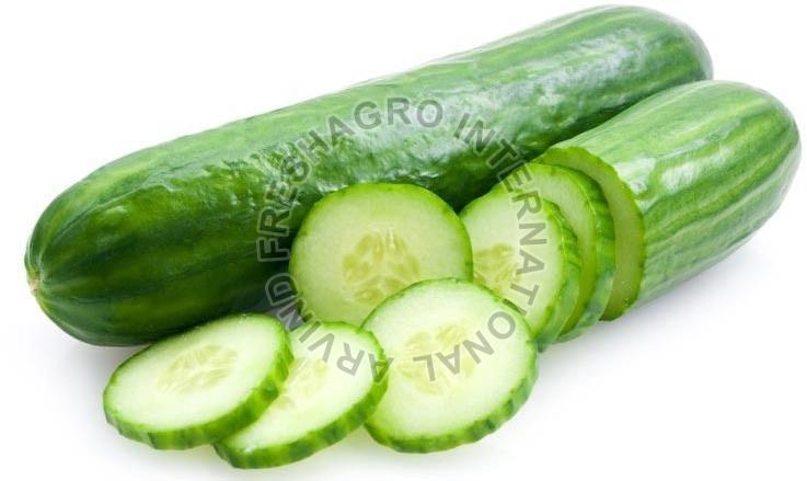 Fresh Cucumber, Packaging Size : 25kg