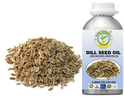 Dill Seed Oil for Used In Herbal Medicines
