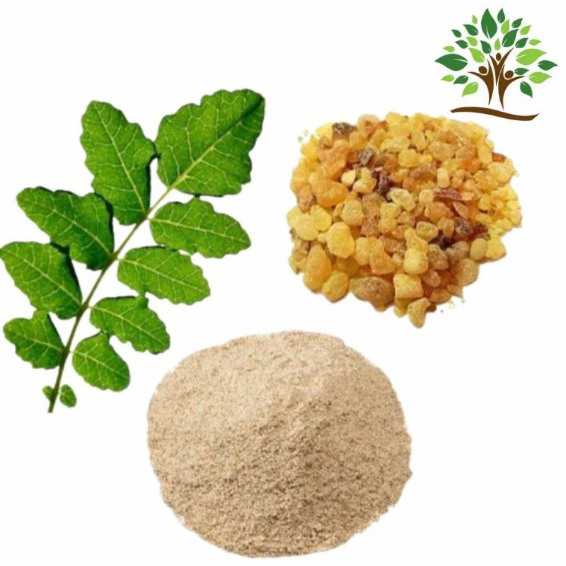 Natural Boswellia Serrata Extract Powder for Medicinal, Food Additives, Beauty