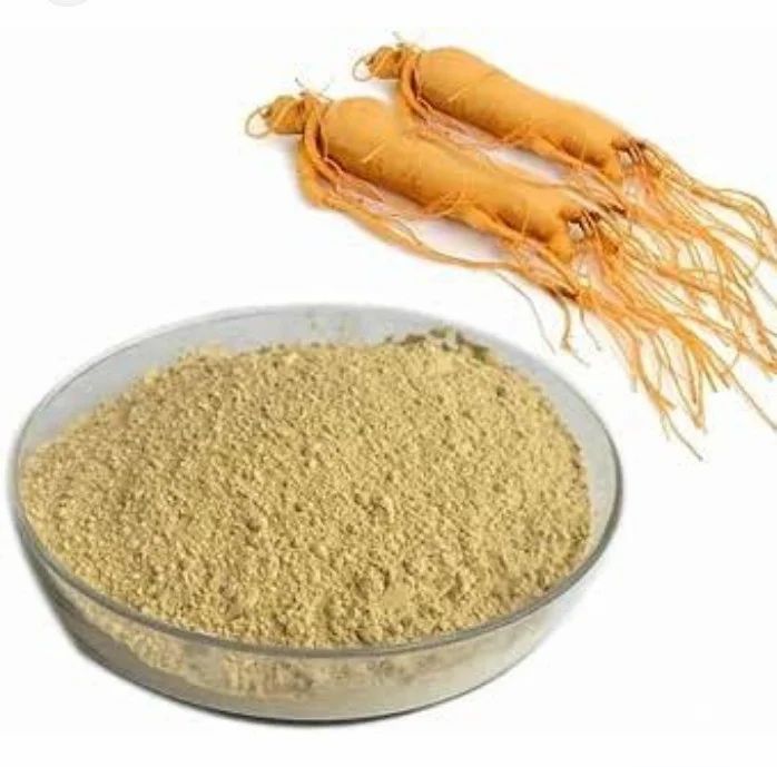 Ginseng Extract Powder, Packaging Type : PP Bag