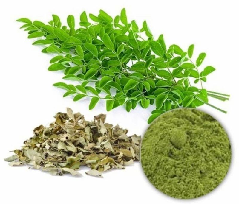 Moringa Leaves Extract Powder, Grade : Food Grade