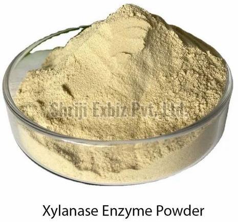 Xylanase Enzyme, Packaging Type : PP Bag