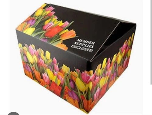 Rectangular 5 Ply Mango Packaging Box, Color : Multicolor