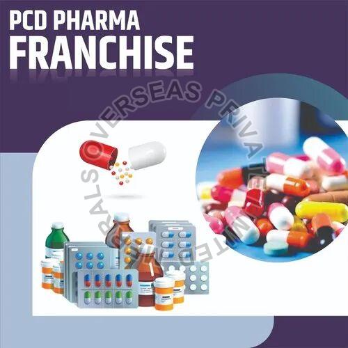 Merrals Supplement PCD Pharma Franchise Service, Promotional Material : Pamphlets