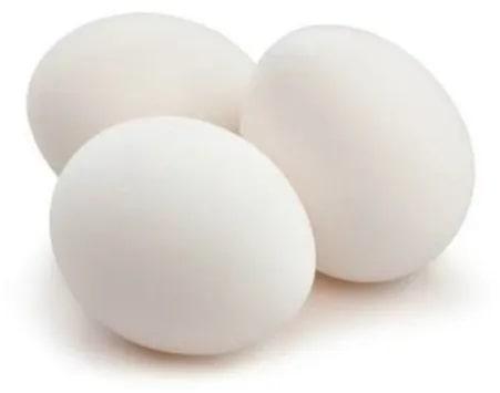 Hatchery White Eggs for Human Consumption