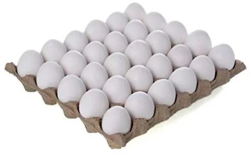 Organic White Eggs