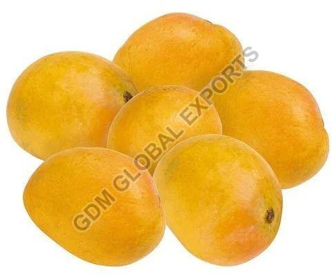 Natural Fresh Badami Mango, Shelf Life : 10 Days
