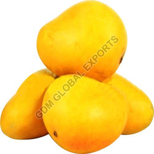 Yellow Natural Fresh Banganapalli Mango, for Direct Consumption, Juice Making, Shelf Life : 10 Days