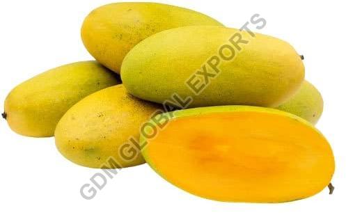 Natural Fresh Dasheri Mango, Shelf Life : 5-7 Days