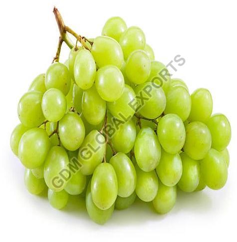 Natural Fresh Green Grapes, for Human Consumption, Packaging Type : Plastic Bag