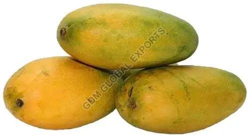 Natural Fresh Neelam Mango, Specialities : Hygienically Packed