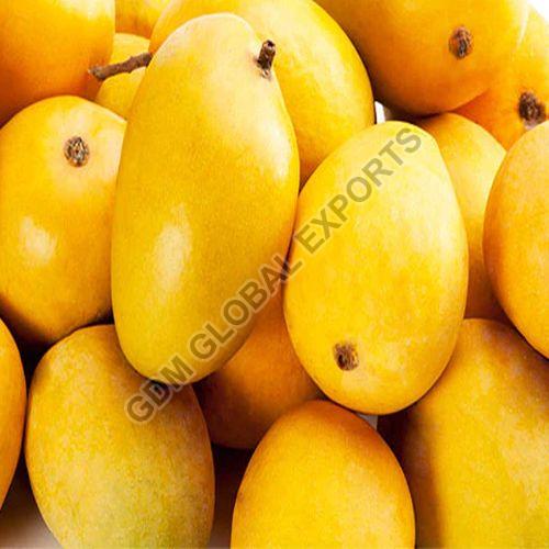 Natural Fresh Safeda Mango, Shelf Life : 7-10 Days