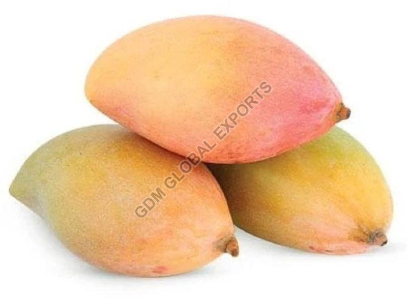 Fresh Totapuri Mango, Shelf Life : 7-10 Days