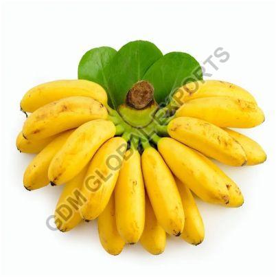 Fresh Yelakki Banana, Shelf Life : 5-7 Days