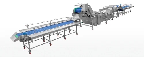 Fruits and Vegetables Processing Line for Industrial