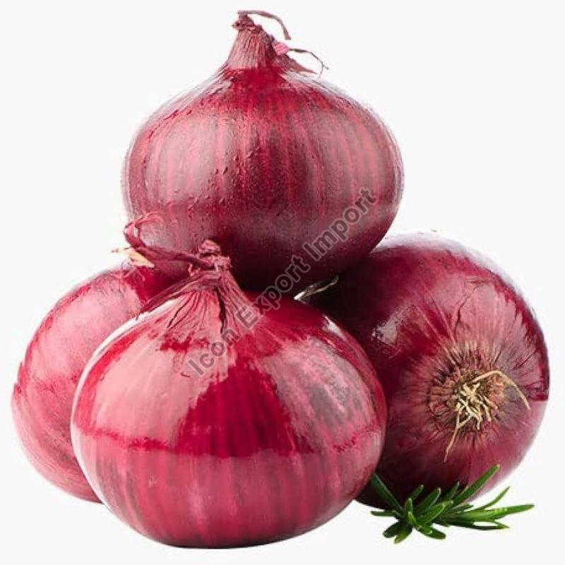 Red Onion, Shelf Life : 7-15days