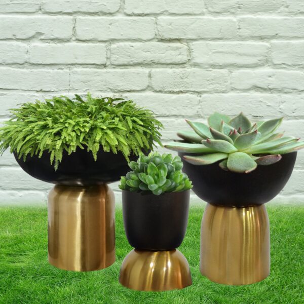 Garden Deco Plain Brass Planter Set, Portable Style : Standing