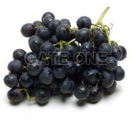 Hagro Organic Fresh Grapes, For Food Medicine, Packaging Size : 5kg, 10kg, 15kg, 20kg, 25kg, 30kg