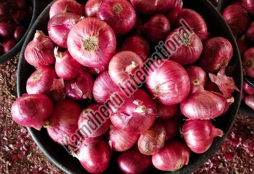 A Grade Red Onion for Cooking