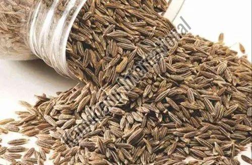 Natural Raw Cumin Seeds for Cooking