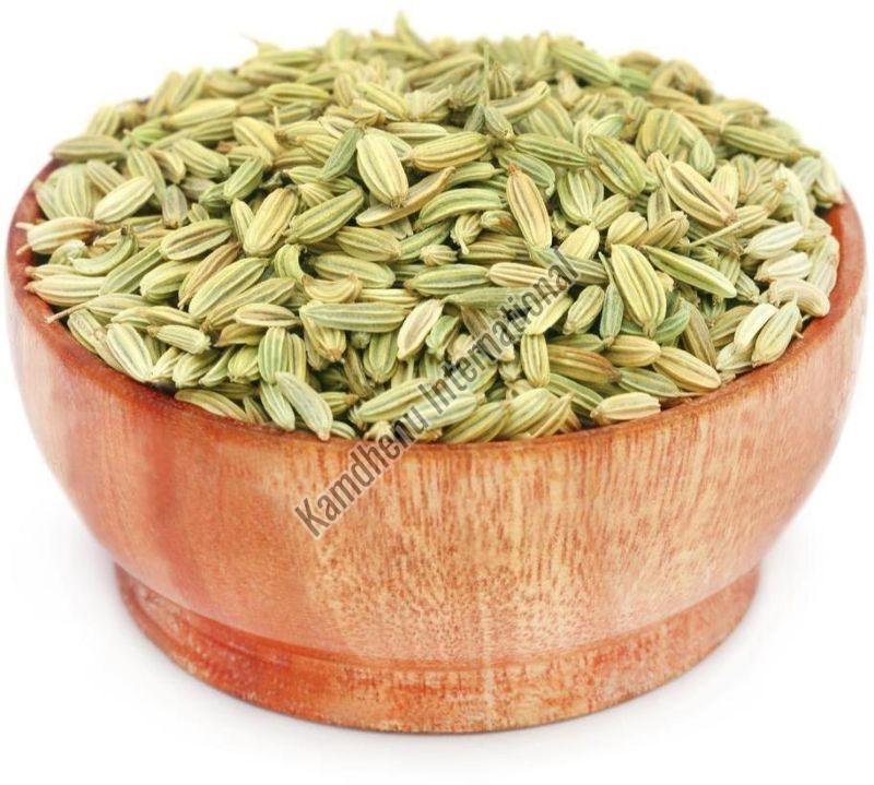 Natural Raw Fennel Seeds, Grade Standard : Food Grade