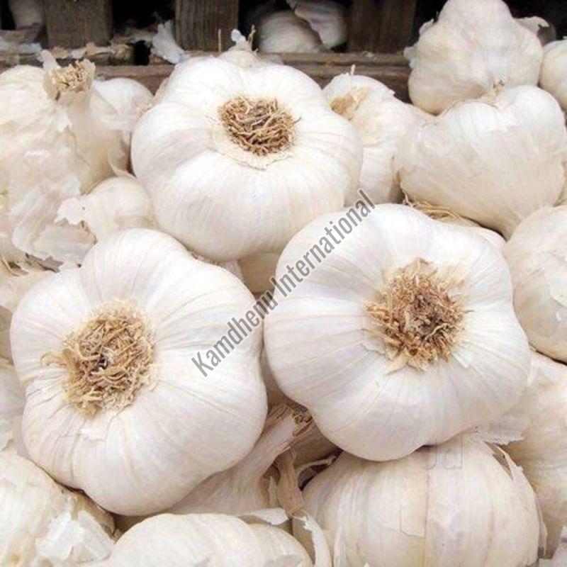 White Fresh Garlic, for Cooking, Shelf Life : 15 Days