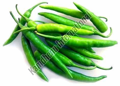 Fresh Green Chilli for Cooking