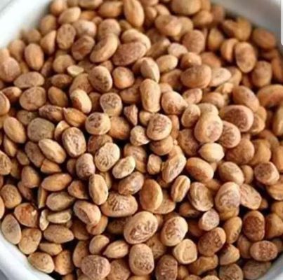 Charoli Seeds, Grade Standard : Food Grade