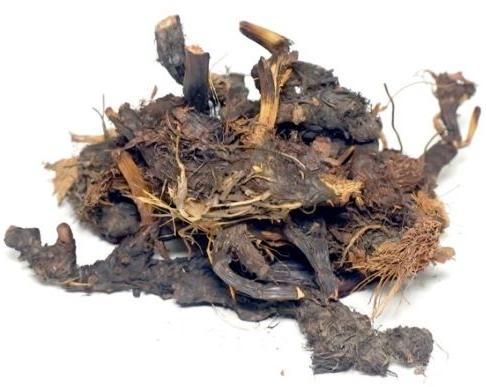 Dried Nagarmotha Root For Ayurvedic Medicine