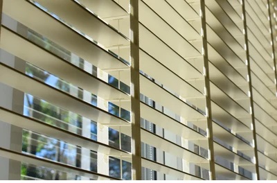 Window Blinds Installation Service