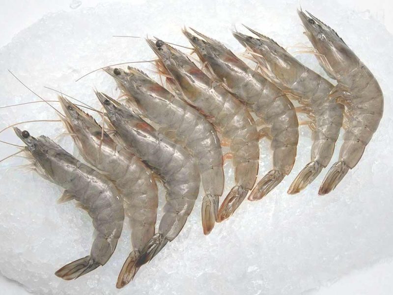 Vannamei Shrimp Prawns, Packaging Type : Frozen Packs
