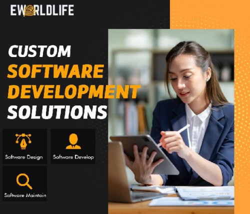 customized software solution
