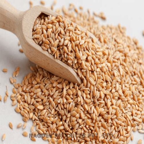 Organic wheat for Making Bread, Cooking, Cookies, Bakery Products