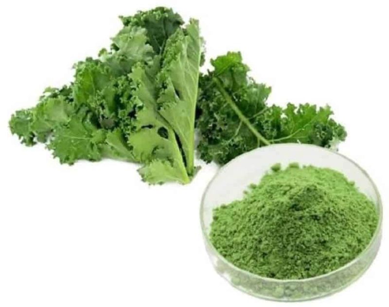 Kale Powder, Color : Green