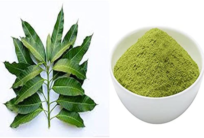 Mango Leaf Powder, Certification : FSSAI