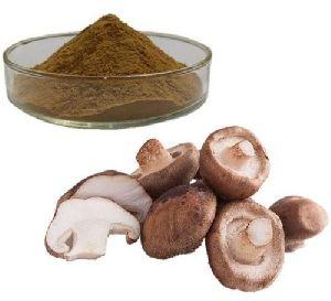 Mushroom Powder