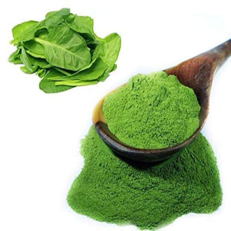 Spinach Powder for Food Industry