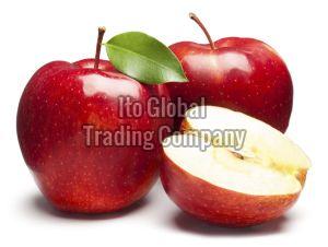 Red Fresh Apple, For Human Consumption, Certification : Fssai Certified