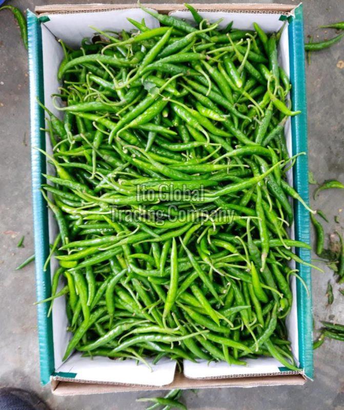 Natural G4 Green Chilli, for Fast Food Corners, Home, Taste : Spicy