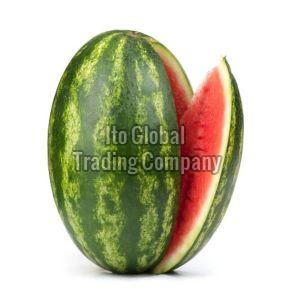 Green Organic Natural Fresh Watermelon, Freezing Process : Cold Storage