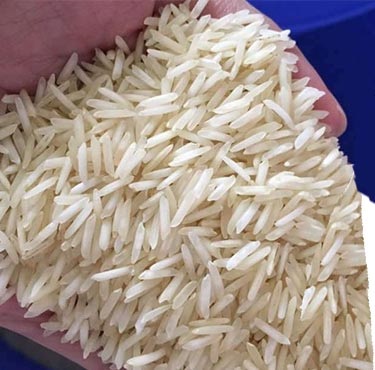 Unpolished Soft Organic 1121 Basmati Rice For Cooking